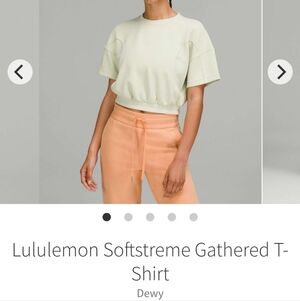 Softstreme Gathered Shirt